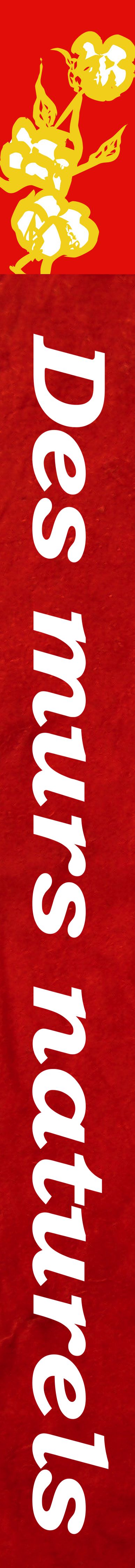 Un habit naturel pour murs et plafonds