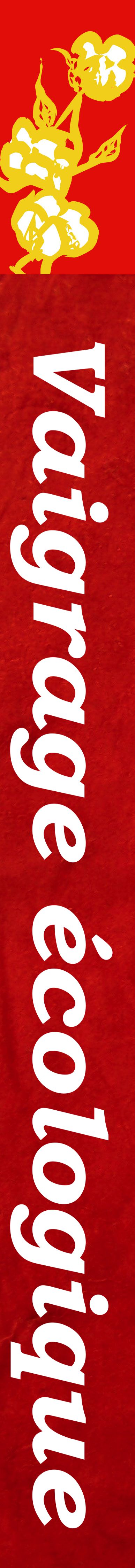 Un vaigrage écologique