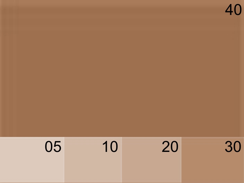 046 BRUN MOYEN