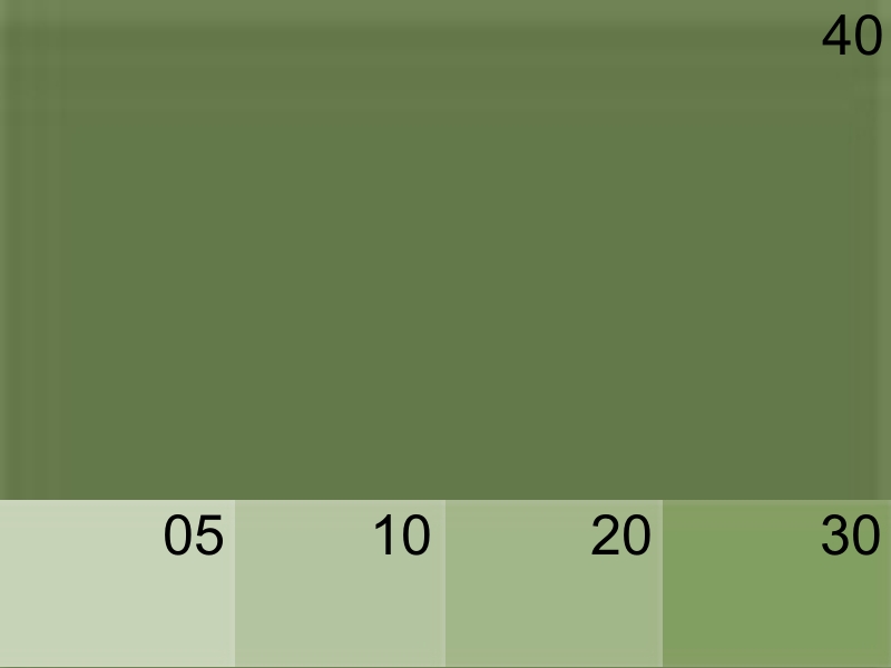 065 VERT OLIVE