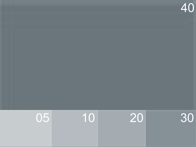 278 GRIS CLAIR