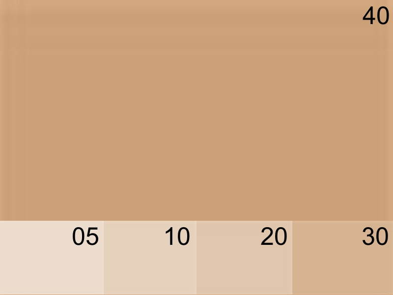 294 CARAMEL