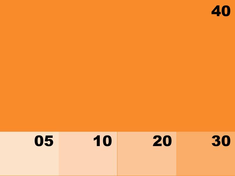 NK8102 ORANGE