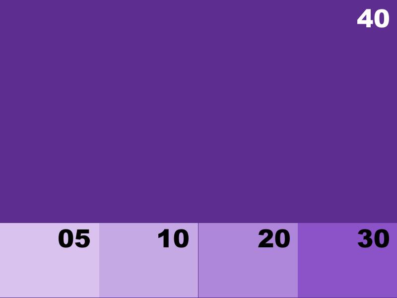 NK8105 VIOLET