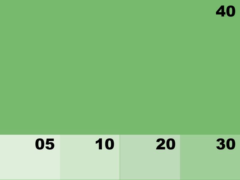 NK8106 VERT