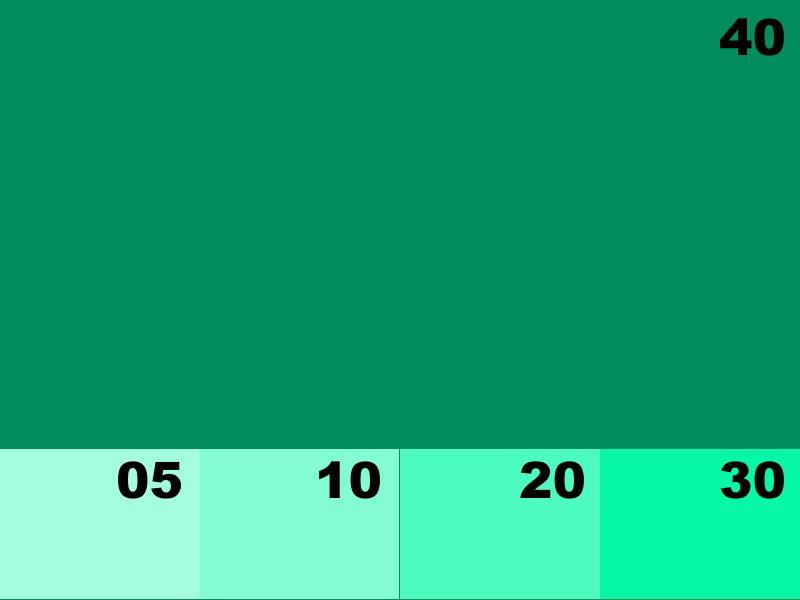 NK8112 VERT FONCE