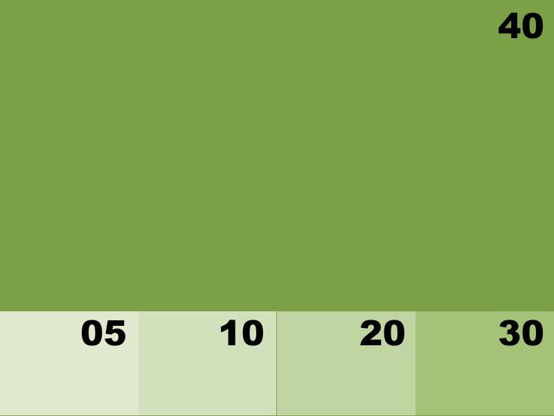 NK8120 VERT OLIVE