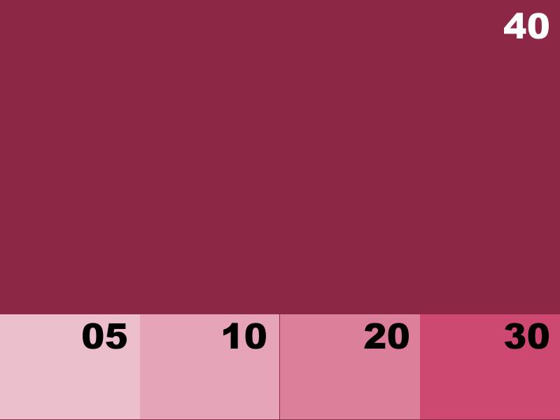 NK8128 POURPRE