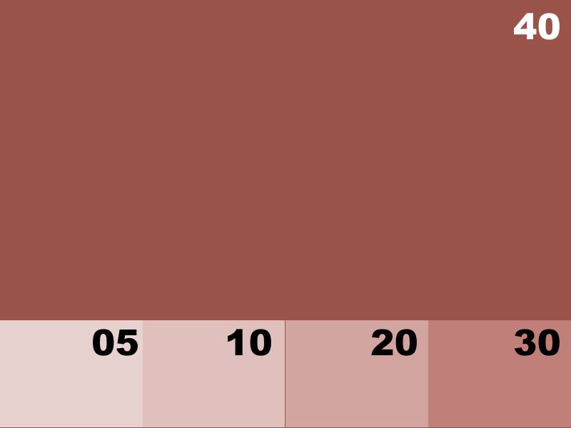 NK8137 MARRON