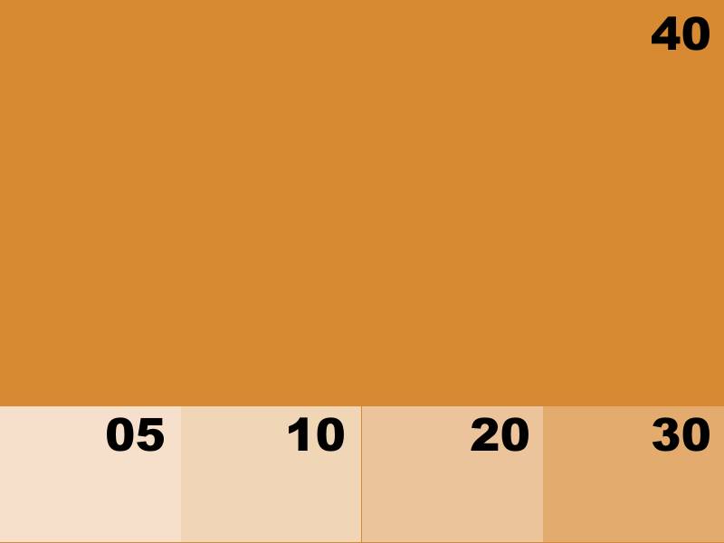 NK8156 COGNAC