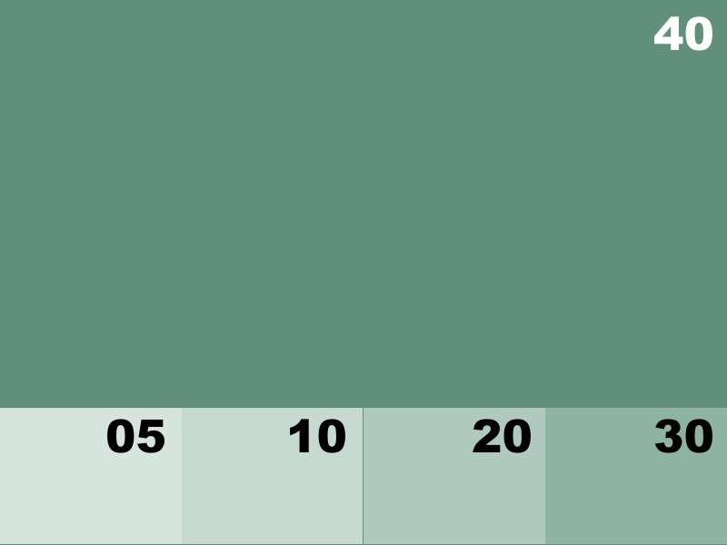 NK8161 VERT ÉMERAUDE