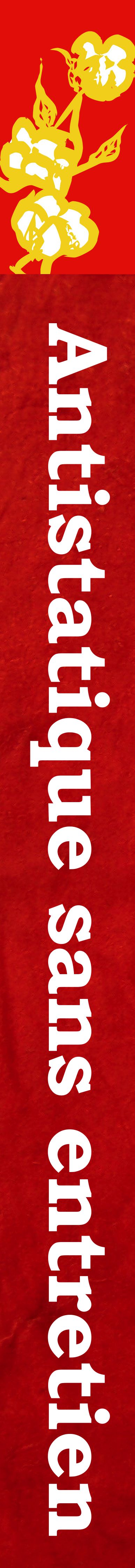 Bandeau droit entretien