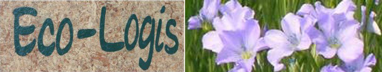 Logo_EcoLogis-BE
