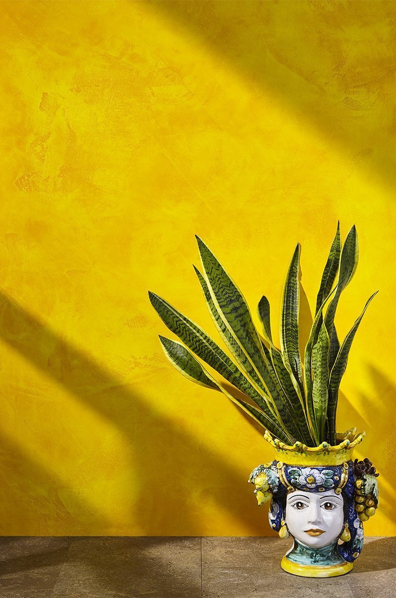 Accueil Vase-Jaune